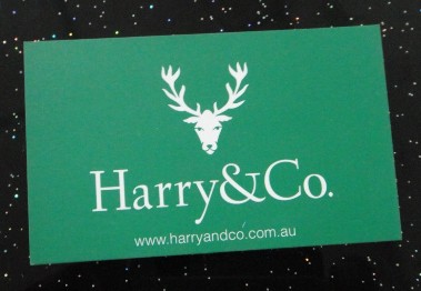 Harry服装吊牌烫金吊牌